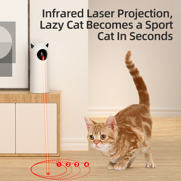 Laser leker til katt